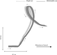Effect Of Assumptions About Oar Rigidity On The Angle Of The