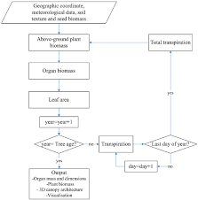Flowchart For The Functional Structural Tree Model Coupled
