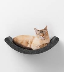 The 10 Best Cat Wall Shelves Of 2022