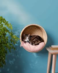 This handmade modern cat bed is going to be your kitty's favorite napping spot! Cat Basket Martha Stewart