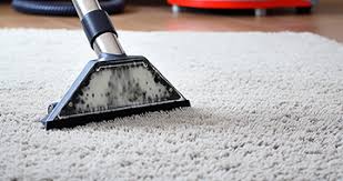the best carpet cleaners in slough