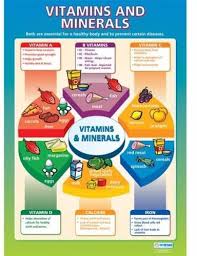 Vitamins Balanced Diet Chart Price From Konga In Nigeria