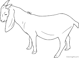 Indoor/outdoor durability this piece is painted with a black base and a gloss finish. Boer Goat Coloring Page Coloringall