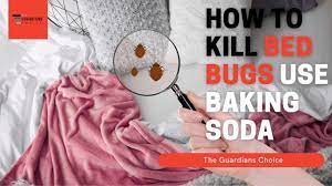 bed bugs using baking soda