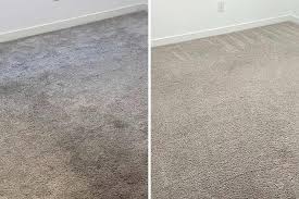 carpet cleaning phoenix az 100