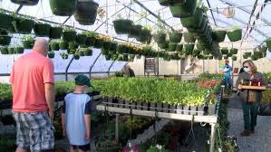 locally grown greenhouse plants at