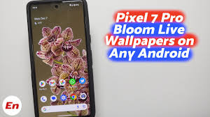install google pixel 7 pro bloom live