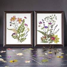 pressed flower art so easy with