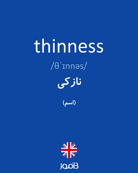 نتیجه جستجوی لغت [thinness] در گوگل