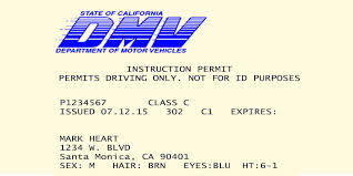 instruction permit requirements in