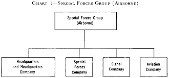 File Vietnam Era Organization Chart For Special Forces