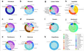 Mosquito Species Composition Pie Charts Of Combined Net And