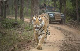 wildlife sanctuaries tiger reserves