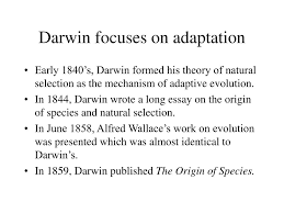 ppt evolution powerpoint presentation id  darwin focuses on adaptation