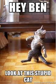 Hey Ben Look at this stupid cat - walking cat | Meme Generator via Relatably.com