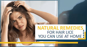 natural remes for hair lice you can