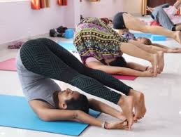 ashtanga vinyasa yoga teacher training