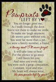 7 Sympathy Quotes To Help Cope With Death Of A Pet | YourTango via Relatably.com