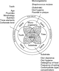 tooth enamel an overview