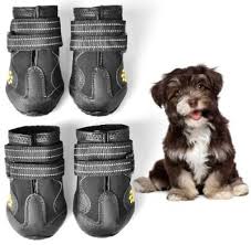 Top 13 Best Dog Shoes In 2019 Reviews The10pro