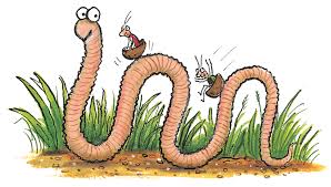 Image result for superworm