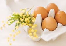 Comment durcir les œufs des poules ?