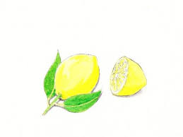 Citrus limon ）は、ミカン科 ミカン属の常緑 低木、またはその果実のこと。 柑橘類の一つであり、中でも主に酸味や香りを楽しむ、いわゆる香酸柑橘類に属する。. æª¸æª¬ å†¬ã®å®¶ä»•äº‹ ãƒ¬ãƒ¢ãƒ³ã‚¸ãƒ³ã‚¸ãƒ£ãƒ¼é…'ã¨å¡©ãƒ¬ãƒ¢ãƒ³ ä¸‰åº¦ã®ãƒ¡ã‚·