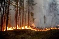 Climate change is here, and the world is burning - The Globe ...
