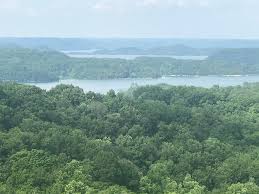Users who prefer something else can also compare many hotel rooms, which are the other most popular property type in dale hollow lake. Dale Hollow Lake Tn Homes For Sale Lakefront Real Estate 3