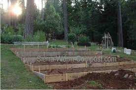 sloped garden garden layout