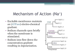 The Pharmacology Toxicology Of Local Anesthetics Ppt
