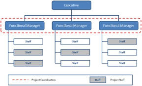 Types Of Organisational Structure Chart Types Of