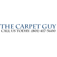 the carpet guy