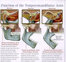 Temporo Mandibular Joint Tmj Dentistinbali