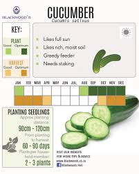 Blackwoods Co Za Download Your Vegetable Planting Charts