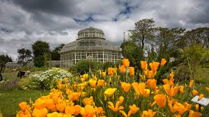 botanic gardens dublin places to