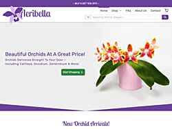 cattleya vendors orchidwire listings