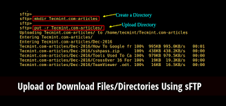 directories using sftp in linux