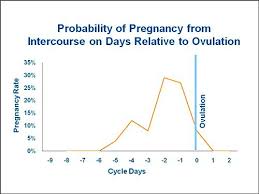 Fertility Myth I Can Get Pregnant Any Day Of My Cycle
