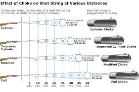 Shotgun Loads Chart Browning Choke Chart Rifle Effective