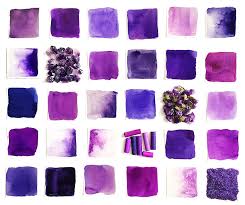 Shades Of Purple Learn All About The