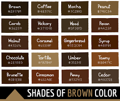 128 Shades Of Brown Color With Names
