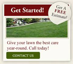 Lawn Care Testimonials From Premium Lawn Service Customers