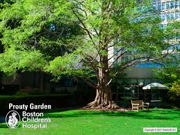 prouty garden children s hospital