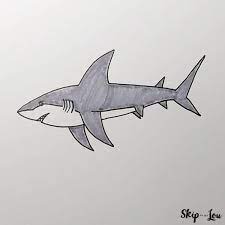 How To Draw A Shark | Skip To My Lou