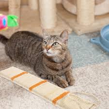 funny cat toy corner scratcher carpet