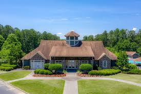 homes in bridgemill canton ga