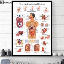 Us 9 68 37 Off Hd Wall Art Posters Human Body Anatomy Poster Anatomie System Chart Body Map Canvas Painting Picture Print Decorative Home Decor In