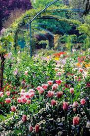 Flowers That Monet Grew In Giverny