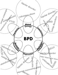 People with the diagnosis of borderline personality disorder (bpd) face some of the harshest stigma in the mental health community. The Inpatient With Borderline Personality Disorder Chapter 4 Manual Of Inpatient Psychiatry